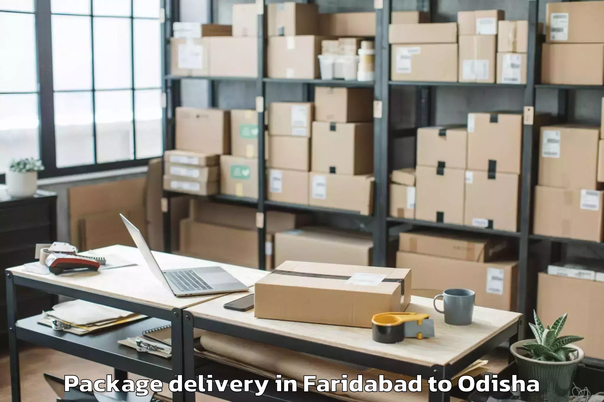 Trusted Faridabad to Aul Package Delivery